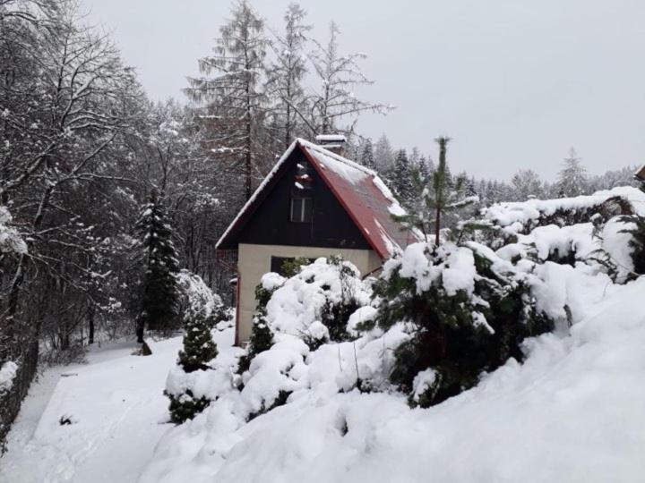 Chata U Koupaliste Chribska Luaran gambar